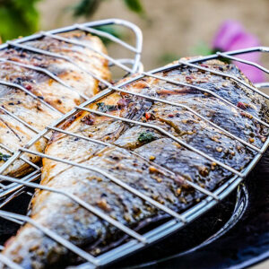 107/10 - Mild Steel Grid - Fish lifestyle