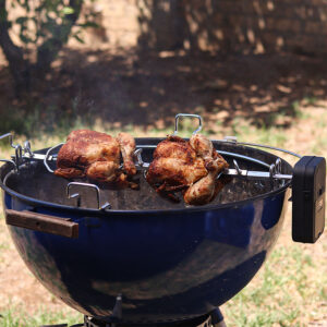 126/7 - Rotisserie Motor