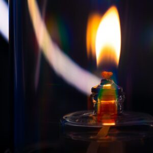 400-013 LK’s Citronella Lamp Wick Set lifestyle optimised