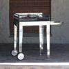 113/53 - Mobile Braai 630 - Stainless Steel 2