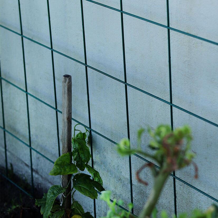 350/023 -GARDEN TRELLIS (900 x 1500mm) Lifestyle