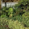 350/011 - GARDEN FENCE (1000 x 540mm) Lifestyle