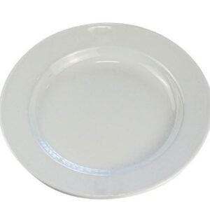White Enamel Dinner Plate
